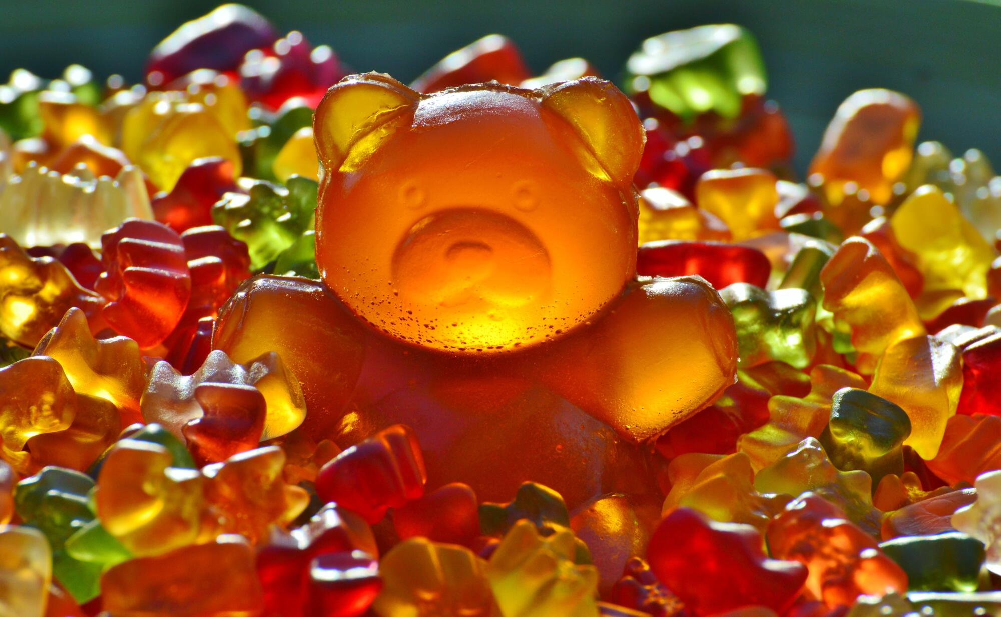 How to Choose the Best Mushroom Gummies for Your Health Needs